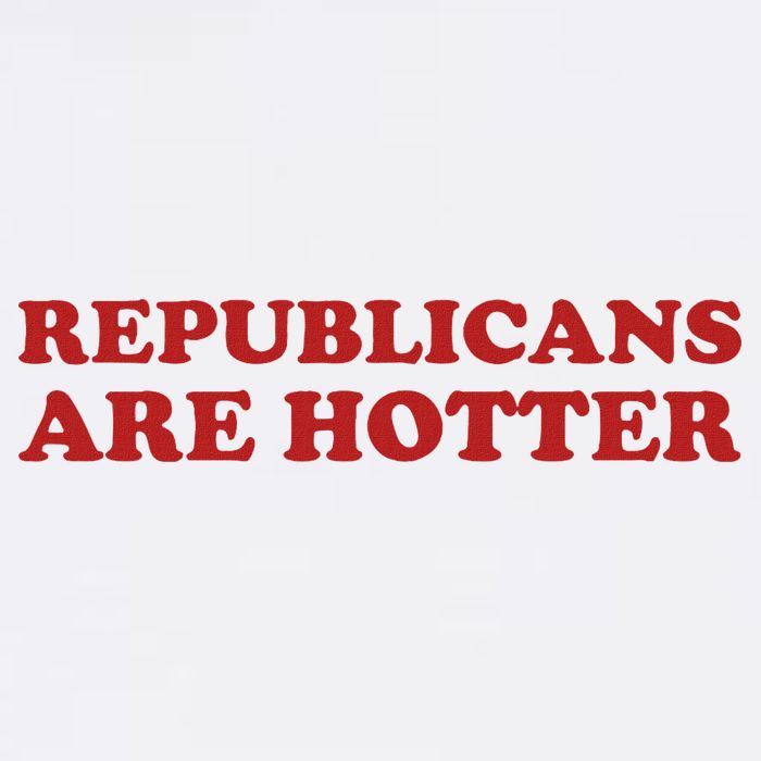 Republicans Are Hotter Political Saying American Voice Beanie
