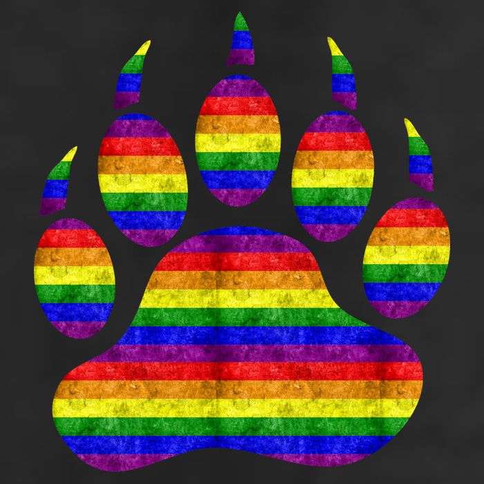 Rainbow Bear Paw Golf Towel