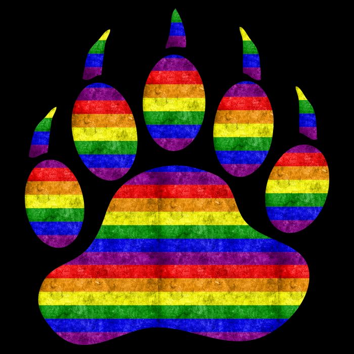 Rainbow Bear Paw Cropped Pullover Crew