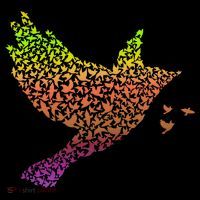 Rainbow Bird Abstract Flock Tall T-Shirt