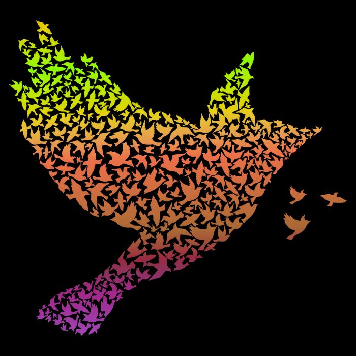 Rainbow Bird Abstract Flock Baby Bodysuit