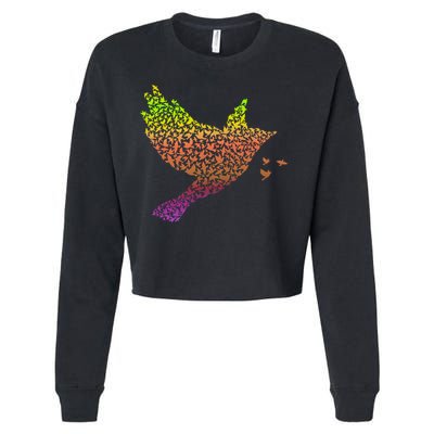 Rainbow Bird Abstract Flock Cropped Pullover Crew