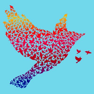 Rainbow Bird Abstract Flock T-Shirt