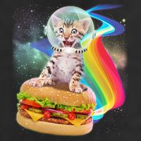 Rainbow Burger Space Cat Cool Comfort Performance Bucket Hat