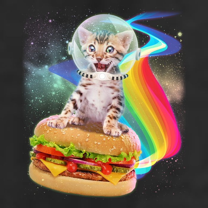 Rainbow Burger Space Cat Cool Comfort Performance Bucket Hat