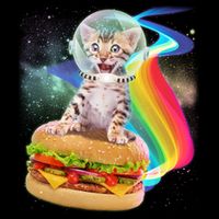 Rainbow Burger Space Cat Polo