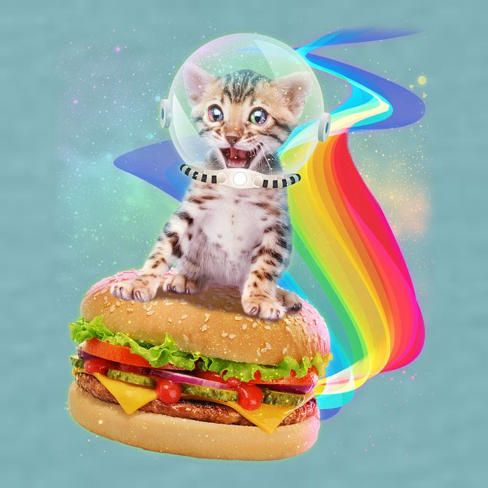 Rainbow Burger Space Cat Sueded Cloud Jersey T-Shirt