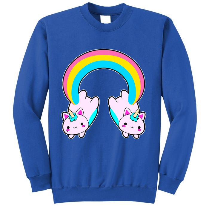 Rainbow Cat Twin Caticorns Sweatshirt