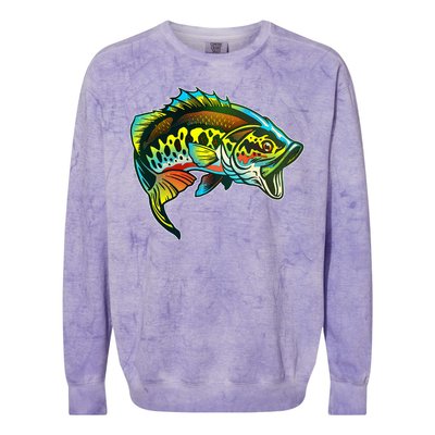 Rainbow Colorful Bass Colorblast Crewneck Sweatshirt