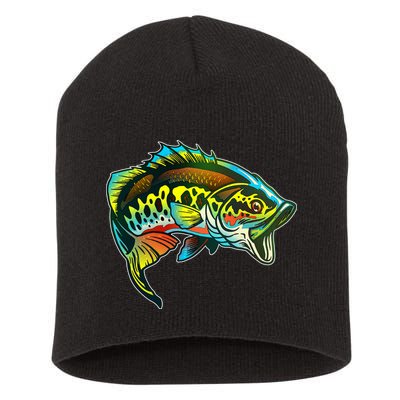 Rainbow Colorful Bass Short Acrylic Beanie