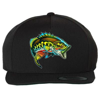 Rainbow Colorful Bass Wool Snapback Cap