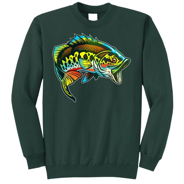 Rainbow Colorful Bass Sweatshirt