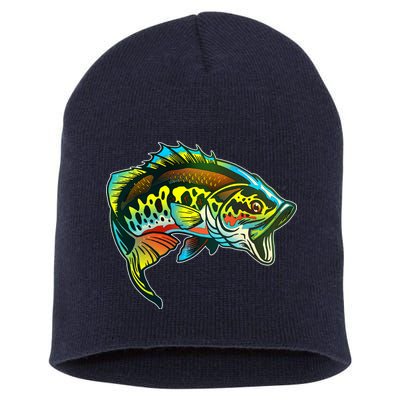 Rainbow Colorful Bass Short Acrylic Beanie