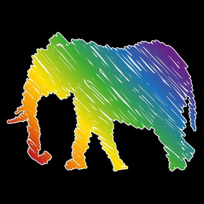 Rainbow Elephant Crop Top