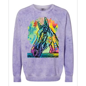 Rainbow Horse Colorblast Crewneck Sweatshirt