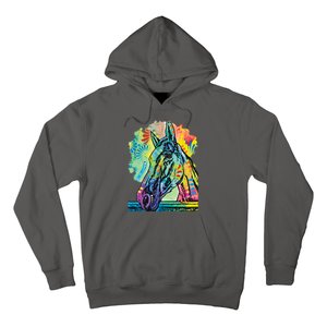 Rainbow Horse Hoodie