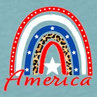 Rainbow Leopard American Flag 4th of July Sueded Cloud Jersey T-Shirt