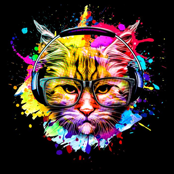 Rainbow Paint Hipster DJ Cat Kids T-Shirt