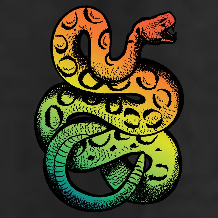 Rainbow Rattlesnake 7 Panel Mesh Trucker Snapback Hat