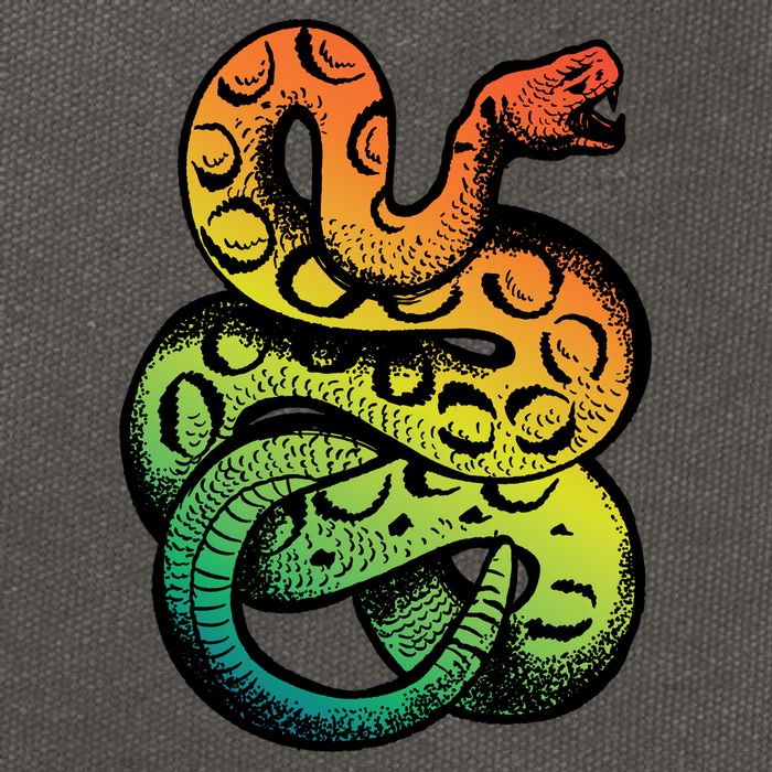 Rainbow Rattlesnake Cotton Canvas Backpack