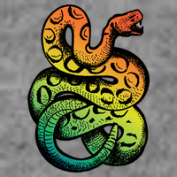 Rainbow Rattlesnake Kids T-Shirt