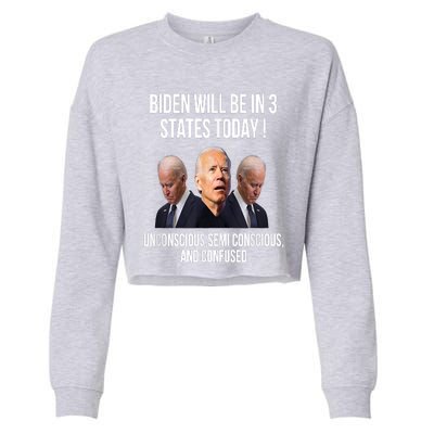 Republican Anti Joe Biden Cropped Pullover Crew