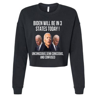 Republican Anti Joe Biden Cropped Pullover Crew