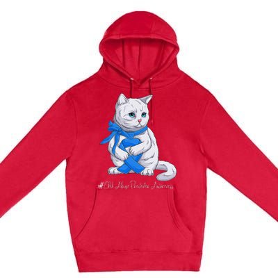 Rainbow All KidsMatter Pinwheel Child Abuse Awareness Premium Pullover Hoodie