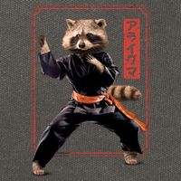 Raccoon Animal Martial Arts Cotton Canvas Backpack