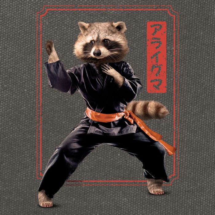 Raccoon Animal Martial Arts Cotton Canvas Backpack
