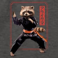 Raccoon Animal Martial Arts Vector Backpack