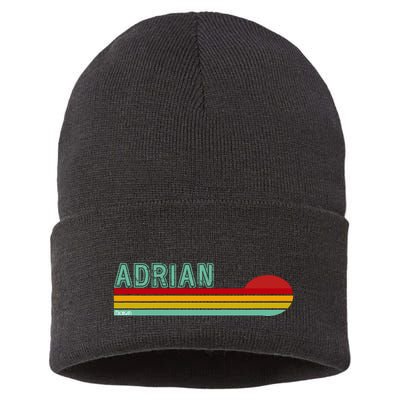 Retro Adrian Michigan Sustainable Knit Beanie
