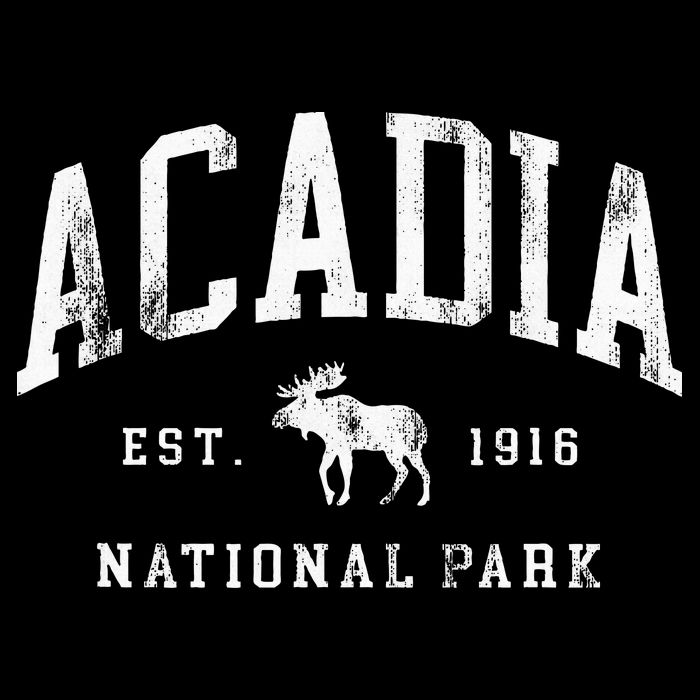 Retro Acadia National Park Maine Est 1916 Hiking Impact Tech Backpack