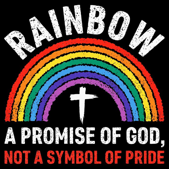Rainbow A Promise Of God Not A Symbol Of Pride Cooling Performance Crew T-Shirt