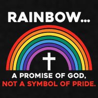 Rainbow A Promise Of God Not A Symbol Of Pride Ladies PosiCharge Tri-Blend Wicking Tank