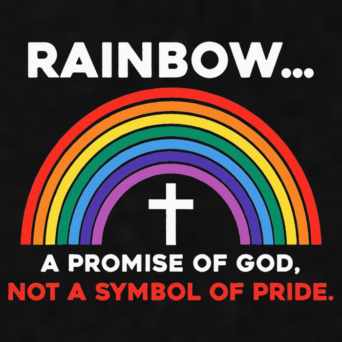 Rainbow A Promise Of God Not A Symbol Of Pride Ladies PosiCharge Tri-Blend Wicking Tank
