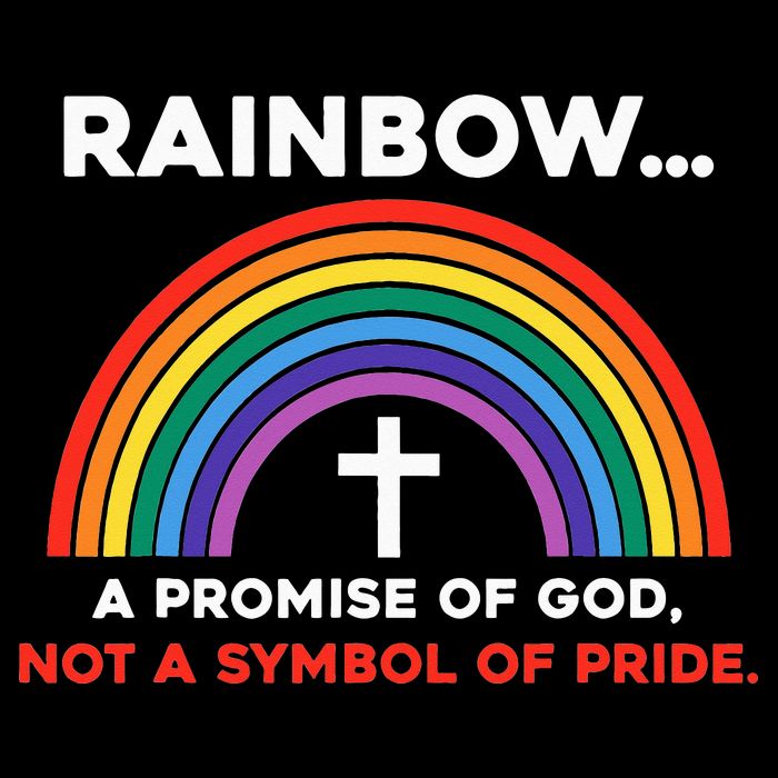 Rainbow A Promise Of God Not A Symbol Of Pride Backpack