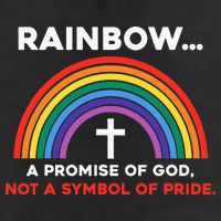 Rainbow A Promise Of God Not A Symbol Of Pride Adult Drive Performance Visor
