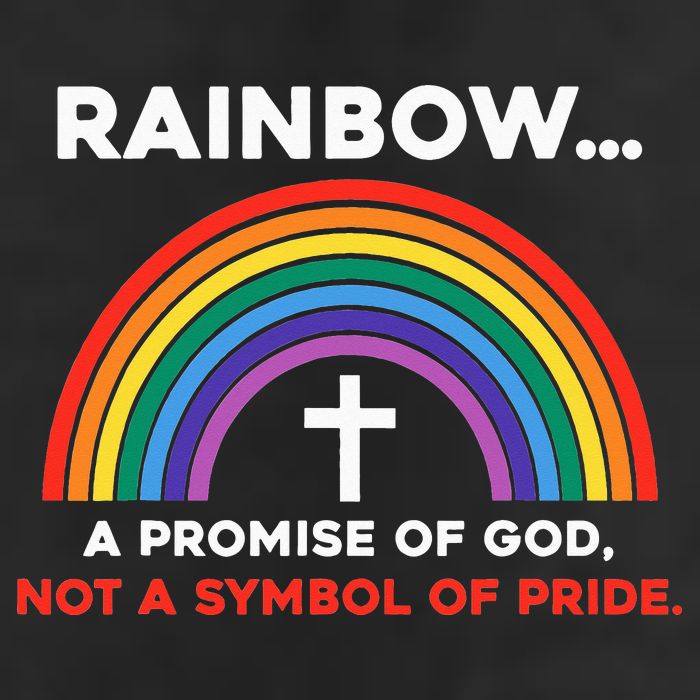 Rainbow A Promise Of God Not A Symbol Of Pride Adult Drive Performance Visor