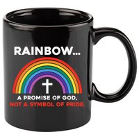 Rainbow A Promise Of God Not A Symbol Of Pride 11oz C Handle Ceramic Mug
