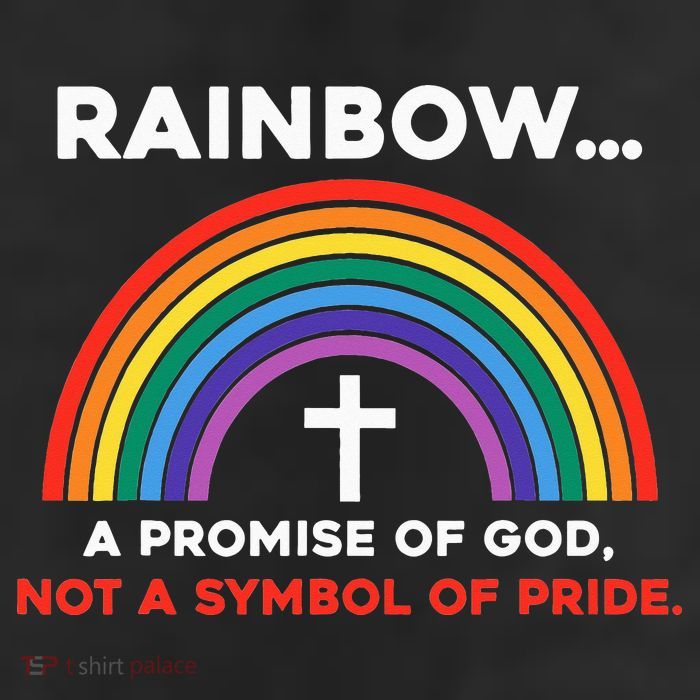 Rainbow A Promise Of God Not A Symbol Of Pride 25L Jumbo Tote