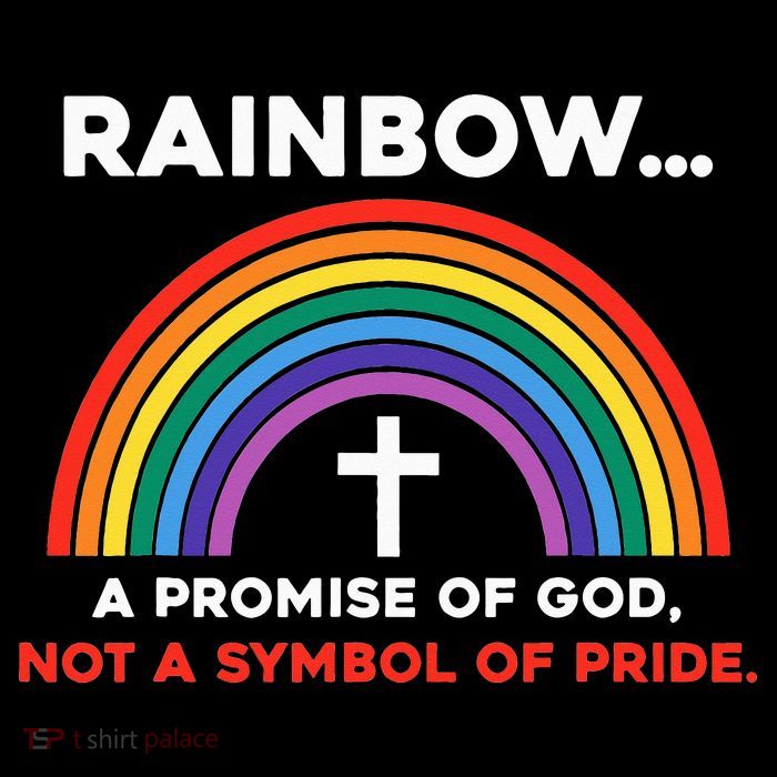 Rainbow A Promise Of God Not A Symbol Of Pride Tank Top