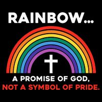 Rainbow A Promise Of God Not A Symbol Of Pride Wool Snapback Cap