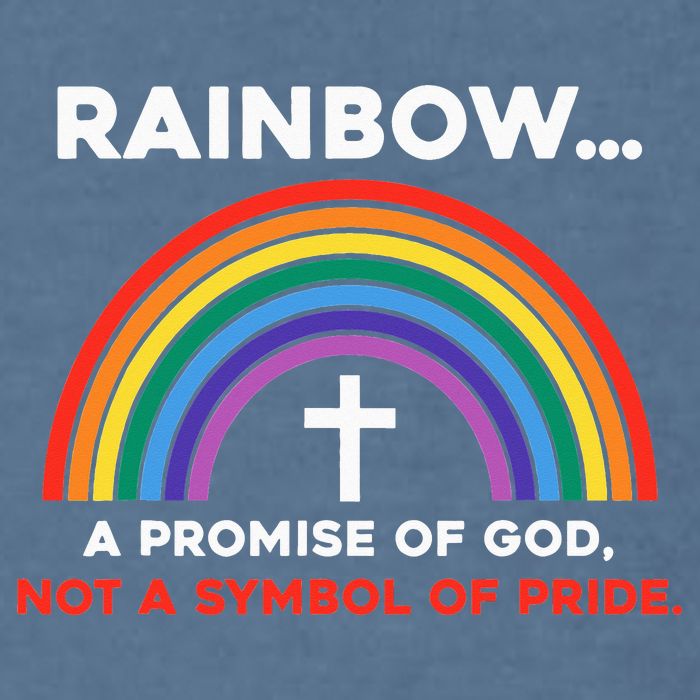 Rainbow A Promise Of God Not A Symbol Of Pride Garment-Dyed Sweatshirt