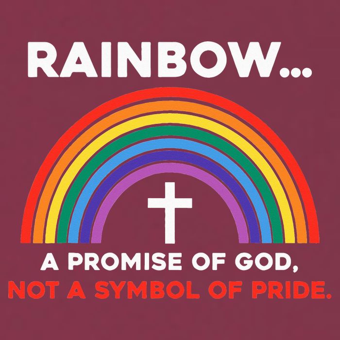 Rainbow A Promise Of God Not A Symbol Of Pride 16oz Travel Tumbler