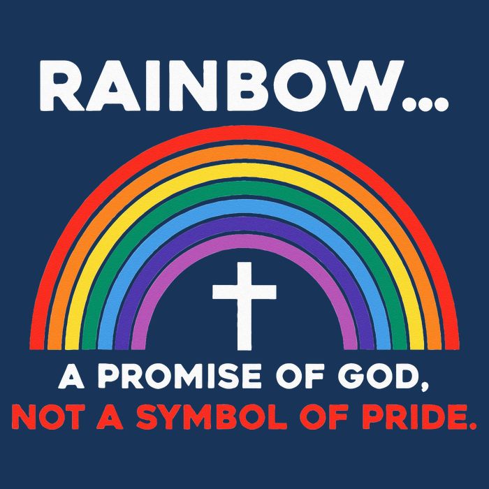 Rainbow A Promise Of God Not A Symbol Of Pride Infant Baby Jersey Bodysuit