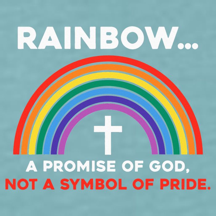 Rainbow A Promise Of God Not A Symbol Of Pride Sueded Cloud Jersey T-Shirt