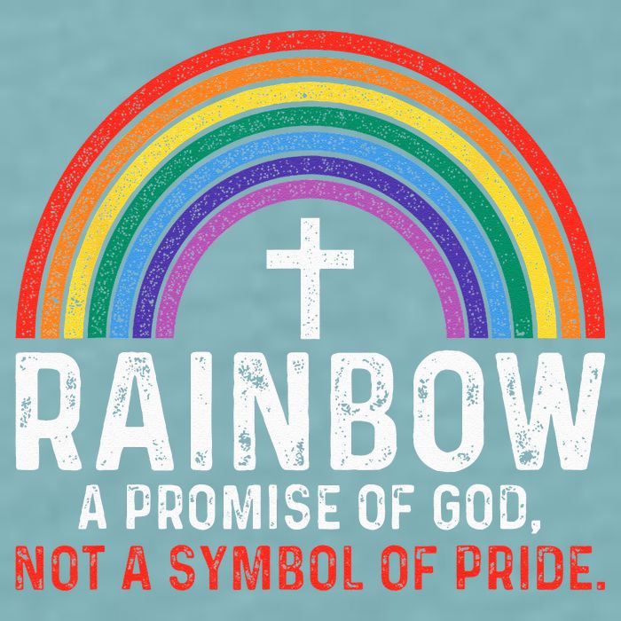 Rainbow A Promise Of God Not A Symbol Of Pride Sueded Cloud Jersey T-Shirt