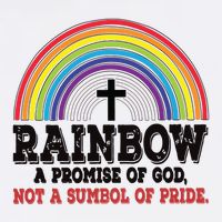 Rainbow A Promise Of God Not A Symbol Of Pride With Cross Cooling Performance Crew T-Shirt