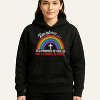 Rainbow A Promise Of God Not A Symbol Of Pride Hoodie